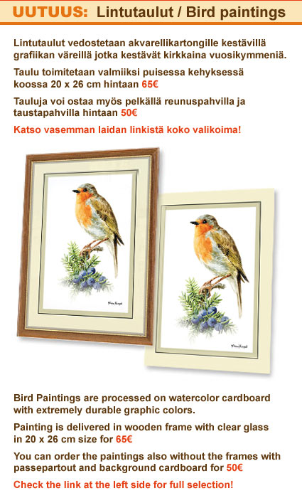 UUTUUS: Lintutaulut / Bird Paintings